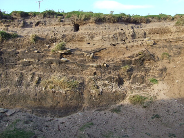 DSCF1544.JPG