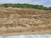 DSCF0852.JPG
