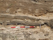 DSCF0851.JPG