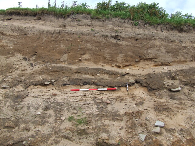DSCF0850.JPG