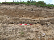 DSCF0850.JPG