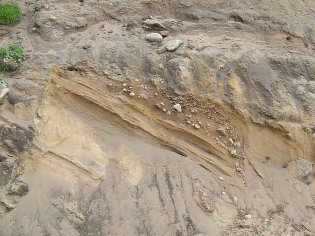 DSCF0262.JPG