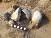 DSCF1030.JPG