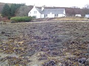 From shore.jpg