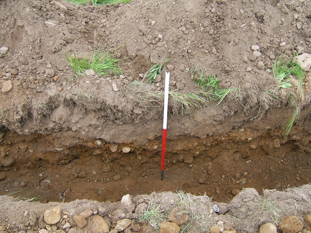 2008.02.jpg