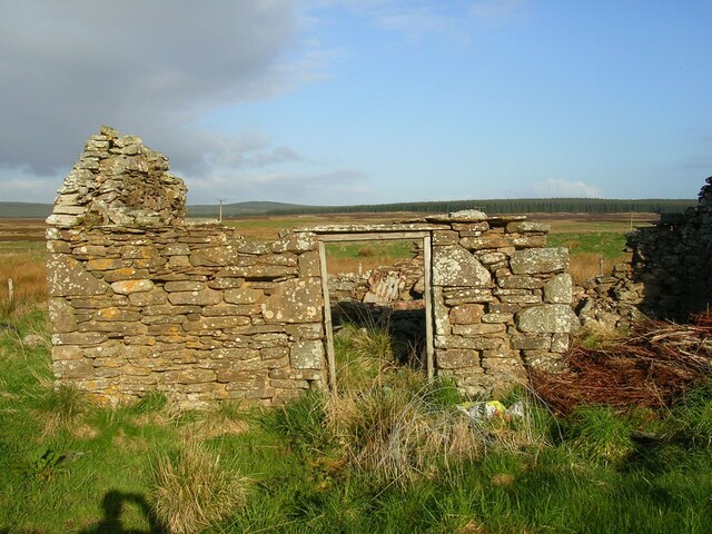 04.jpg