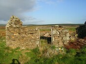04.jpg