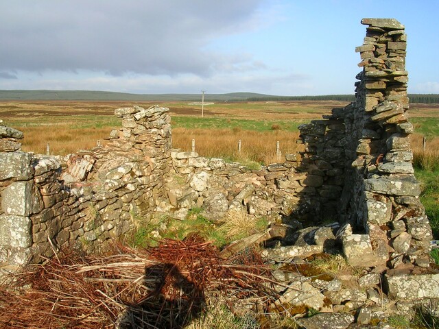 05.jpg