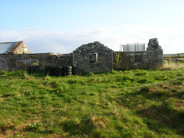 06.jpg