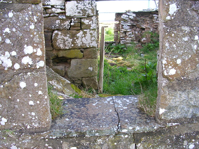 06a.jpg