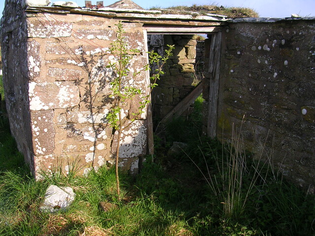 06b.jpg