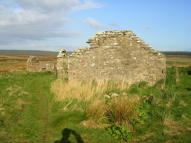07.jpg