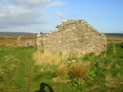 07.jpg