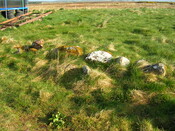 stone along path.jpg