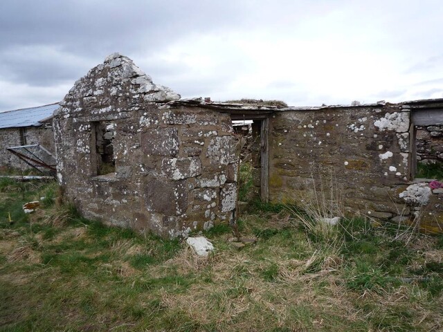 Copy of P1000432.JPG