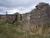 Copy of P1000433.JPG