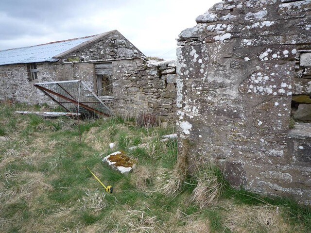 Copy of P1000434.JPG