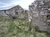Copy of P1000434.JPG