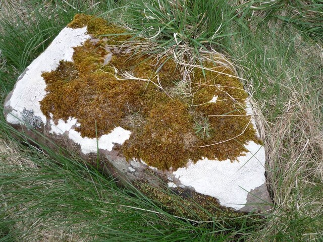 Copy of P1000438.JPG