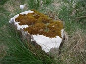 Copy of P1000443.JPG