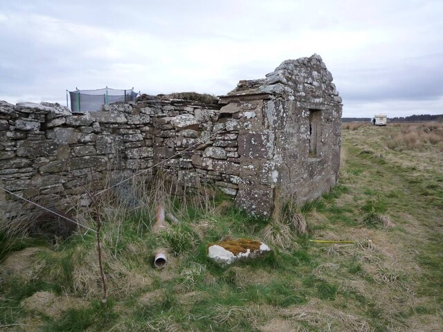 Copy of P1000444.JPG