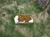 P1000467 - Copy.JPG