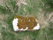 P1000468 - Copy.JPG