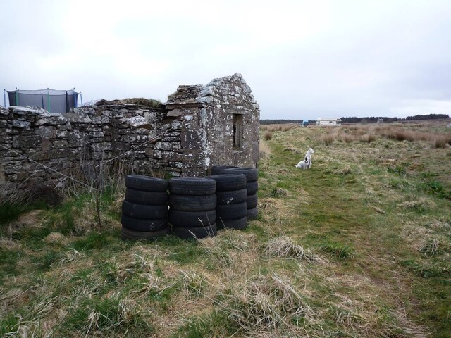 P1000502 - Copy.JPG
