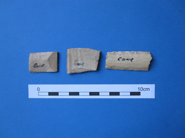 Unreg bone & antler plates Cairds Cave (1).JPG
