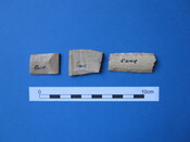 Unreg bone & antler plates Cairds Cave (1).JPG