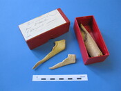 Unreg bone Cairds Cave (1).JPG