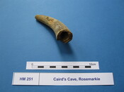 X.HM 251 (5).JPG