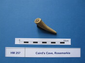 X.HM 257 (4).JPG