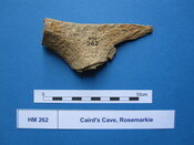 X.HM 262 (1).JPG