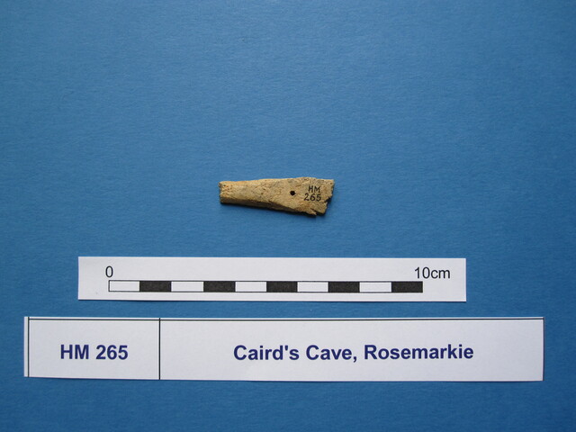 X.HM 265 (1).JPG