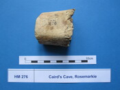 X.HM 276 (1).JPG
