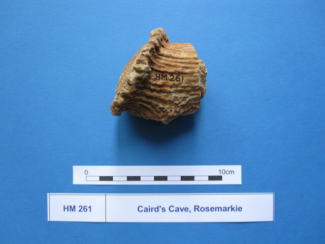 X.HM 261 (2).JPG