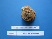 X.HM 261 (4).JPG