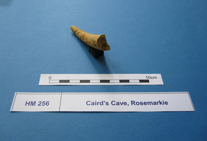 X.HM 256 (4)_Cropped.JPG