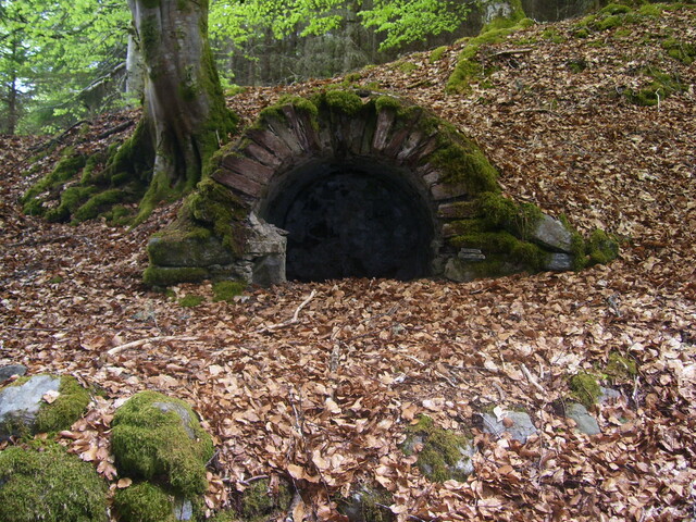 100_0818.JPG