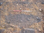 BLNK08-004-607.jpg