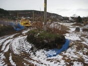 BLNK08-004-618.jpg