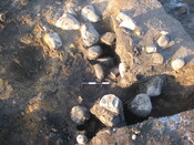 BLNK08-004-621.jpg