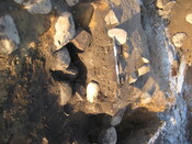 BLNK08-004-622.jpg