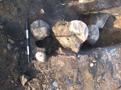 BLNK08-004-623.jpg