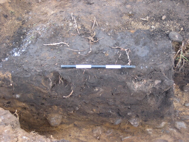 BLNK08-004-625.jpg