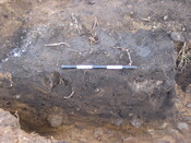 BLNK08-004-625.jpg