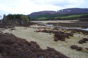 SHG24757_10.jpg