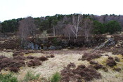 SHG24757_17.jpg