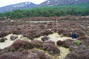SHG24757_18.jpg